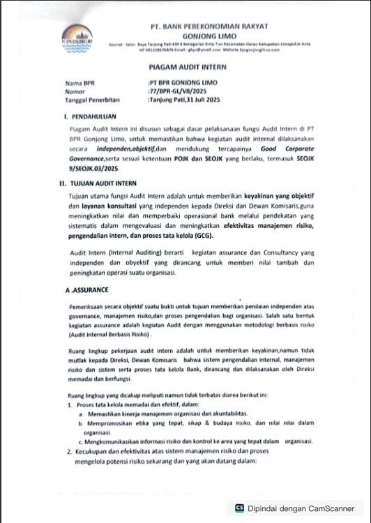 Piagam Audit Intern
